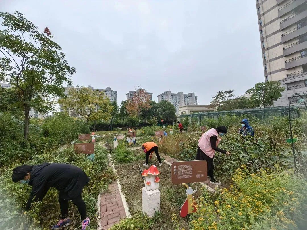 奉賢垃圾處理廠電話（奉賢垃圾處理廠招聘）奉賢最美垃圾箱房評(píng)選︱快來(lái)看看ta是你心目中的最美么，(圖29)